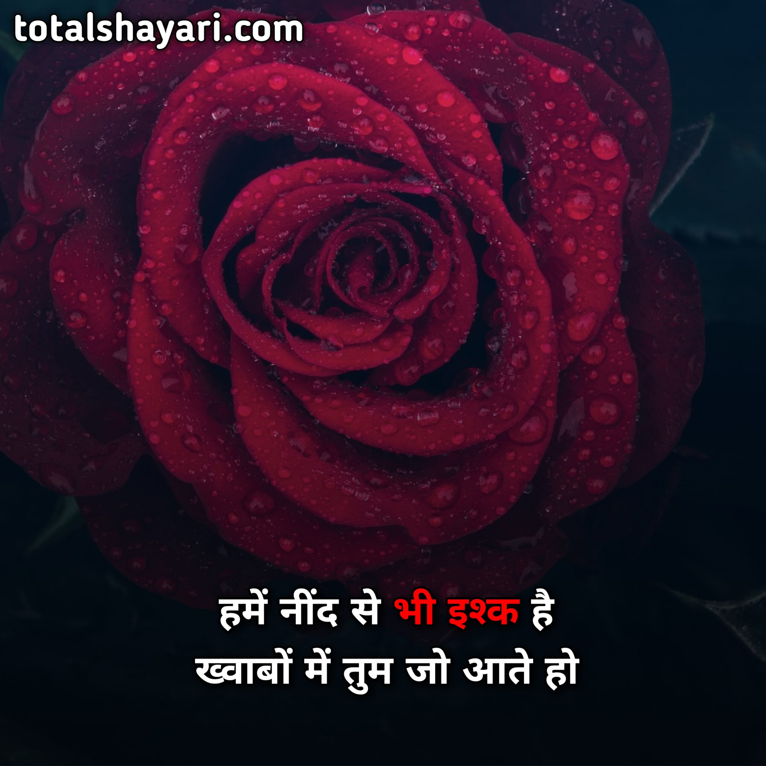 Love Shayari Image 