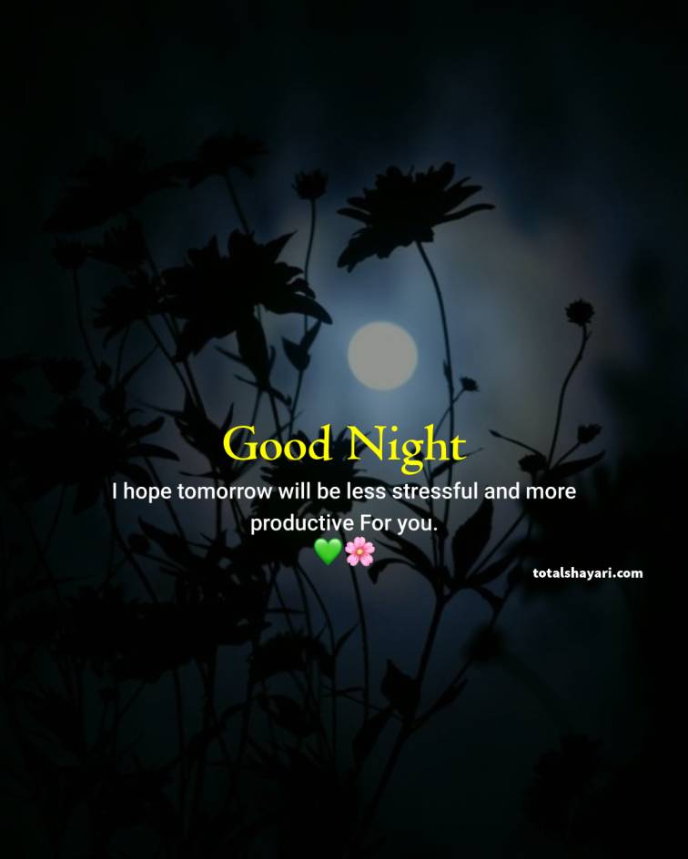 Good Night Quotes Pic